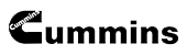 Cummins