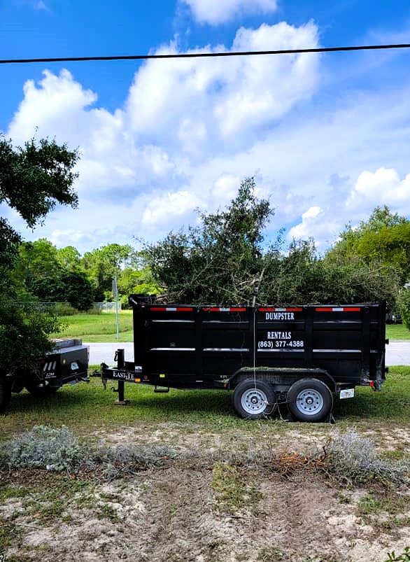 Dumpster filled with branches and yard debris