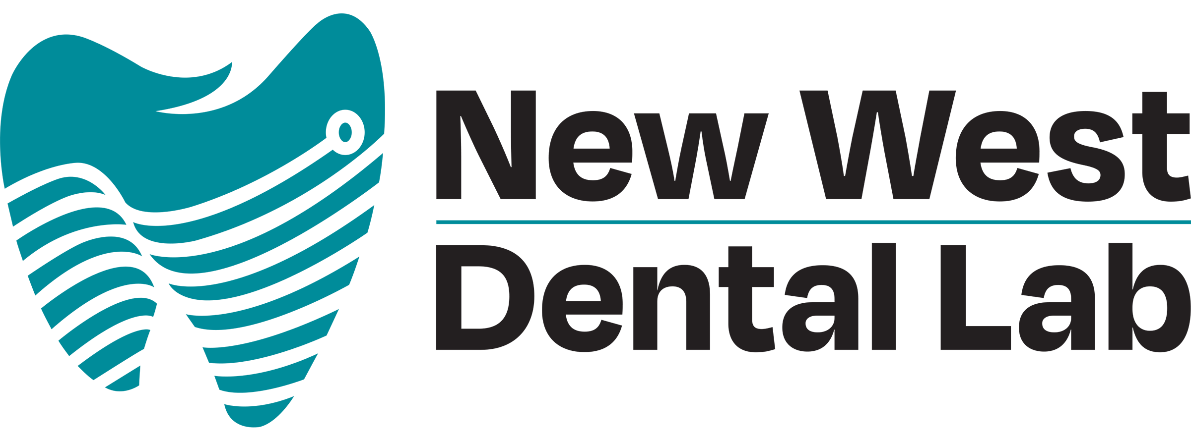 New West Dental Lab